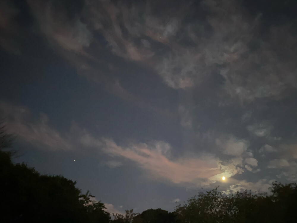 日落过渡到夜晚时的天空、月亮和街灯。