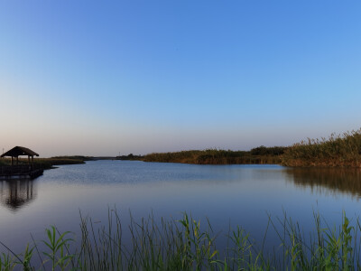 慈溪杭州湾湿地公园