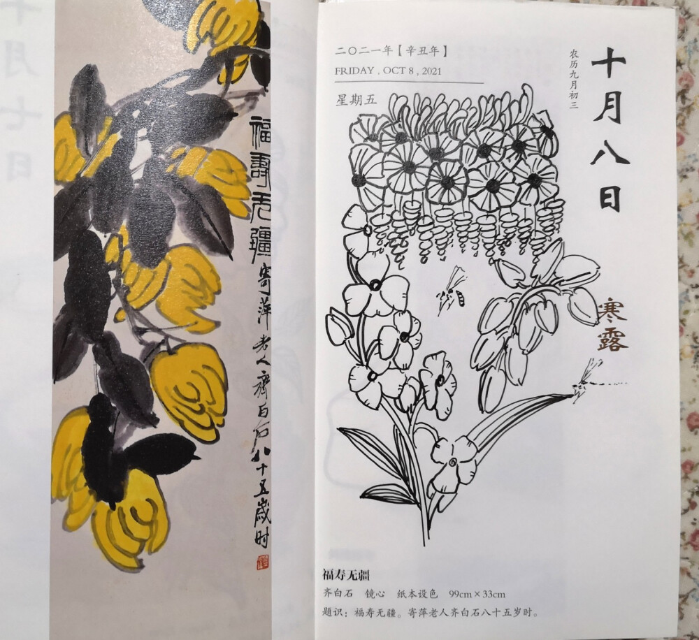 日历插画
10月5至13日
坚持而坚定的脚步
越迈越大
离目标也越来越近