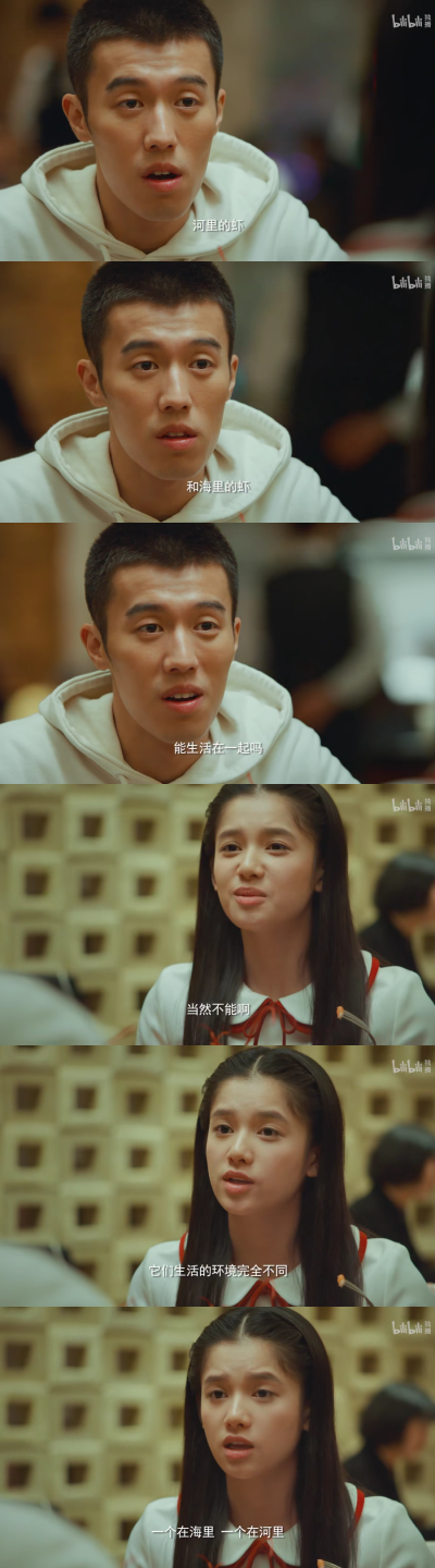 风犬少年的天空