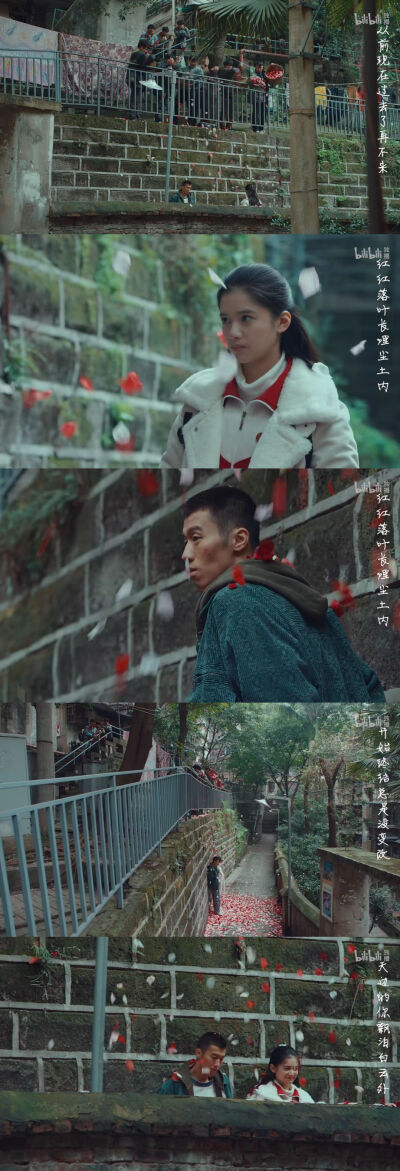 风犬少年的天空