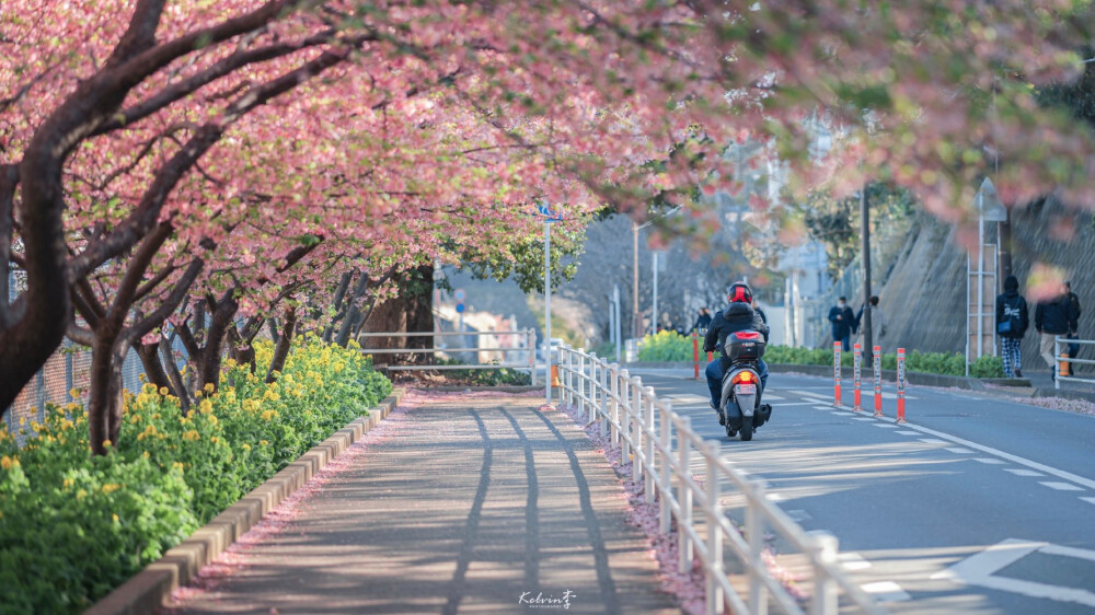 平板电脑壁纸