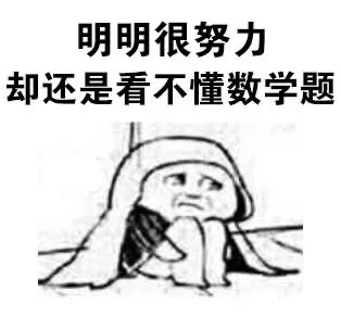 明明很努力 却还是看不懂数学题