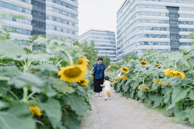 奶奶的小胶布
摄影：洪小漩
出镜：菲比和奶奶
也不知道菲比那天到底怎么样，一放到地上就放声大哭，然后蹒跚追赶着奶奶要抱抱。
婆婆说，你今天怎么了呢，怎么变得粘人了呢。说着，顺势将菲比揽入怀中，用左手大…