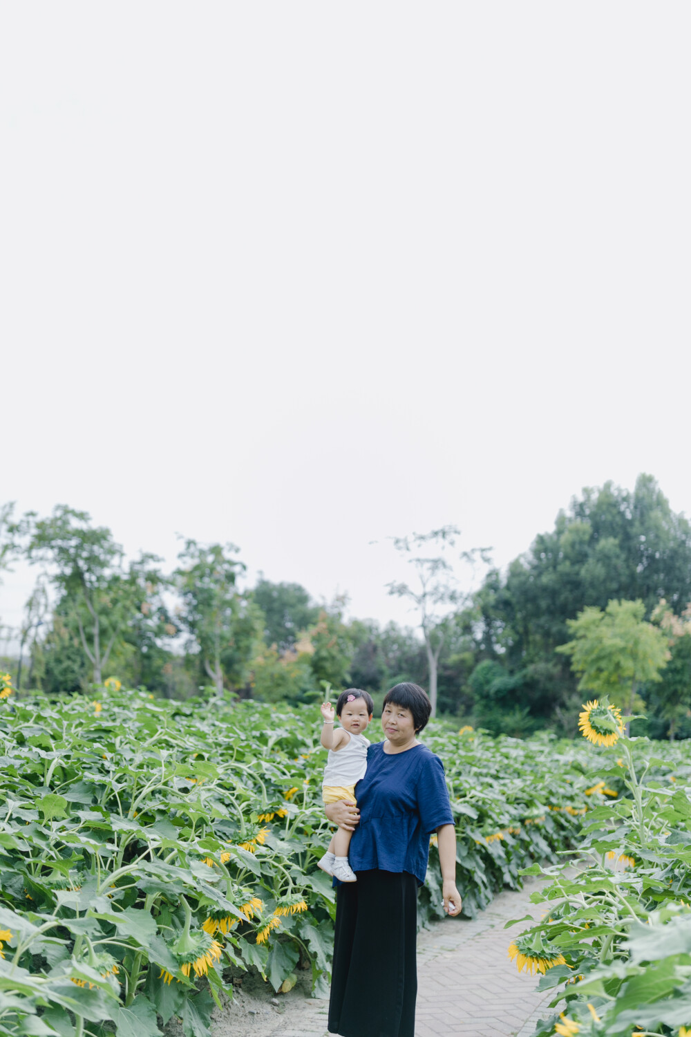 奶奶的小胶布
摄影：洪小漩
出镜：菲比和奶奶
也不知道菲比那天到底怎么样，一放到地上就放声大哭，然后蹒跚追赶着奶奶要抱抱。
婆婆说，你今天怎么了呢，怎么变得粘人了呢。说着，顺势将菲比揽入怀中，用左手大拇指和食指顶着菲比的脸颊，希望支撑出一个笑脸的弧度。奈何，她不配合。
怀孕期间，阿科便征求我同意，问婆婆几时过来照顾我比较合适。对此，我一直举棋不定，只推说自己身体尚佳，不用劳烦长辈提早过来。
最终，直到预产期前的两周，婆婆提着不大的包，住进了我们租住的房子。两口之家，自此，变成了三口之家。
听从医生的建议，预产期前的大约一个月我便请了家在家。自从婆婆来后，没到阿科去上班的时间，便是