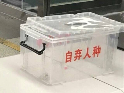 禁止谈恋爱