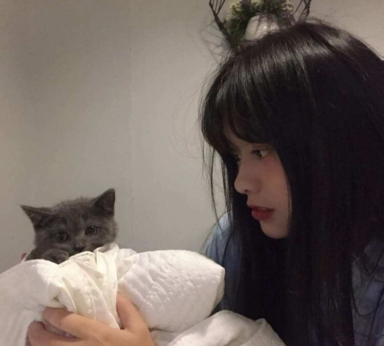 beauty & cat