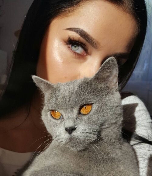 beauty & cat 