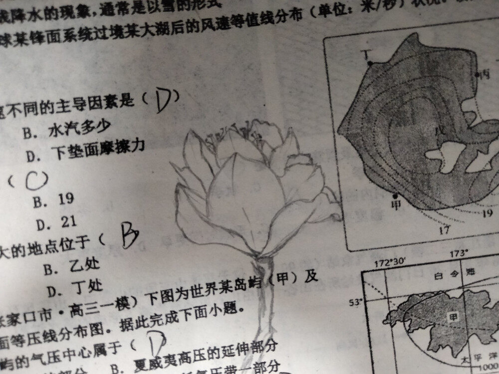 是打心底里喜欢着绘画