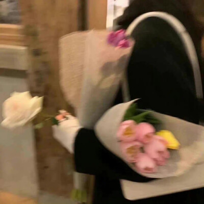 壁纸