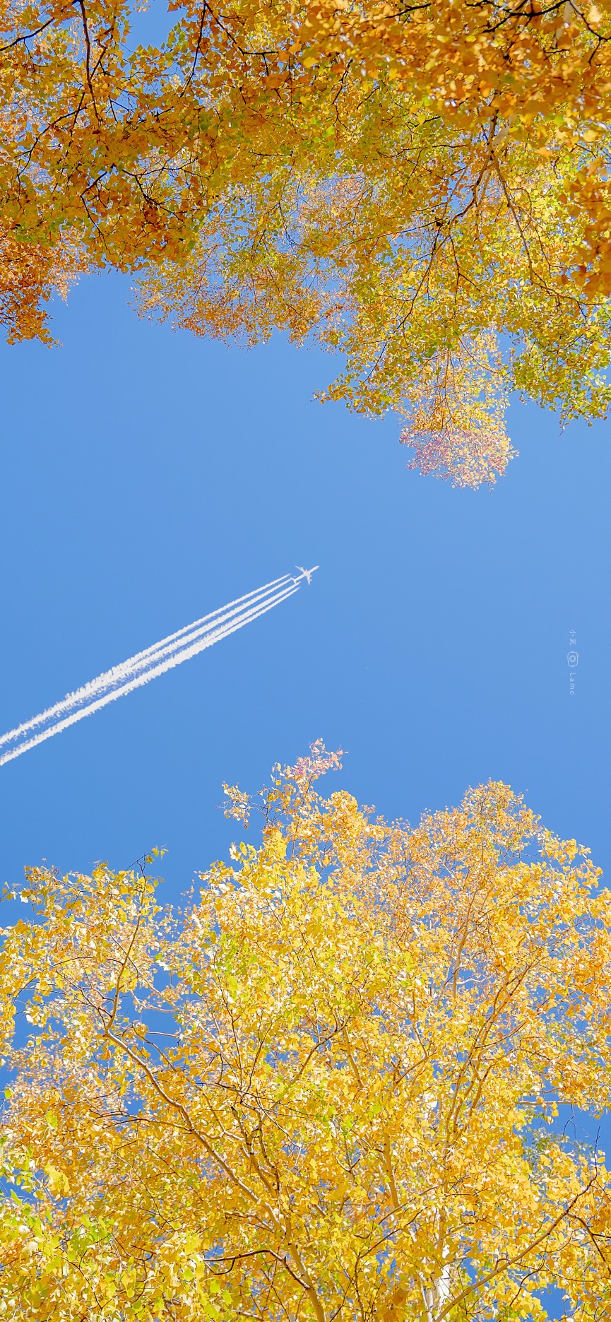 愿与山海共秋色，不与日月争短长。
风里已经有了秋的味道～
摄影：小武拉莫