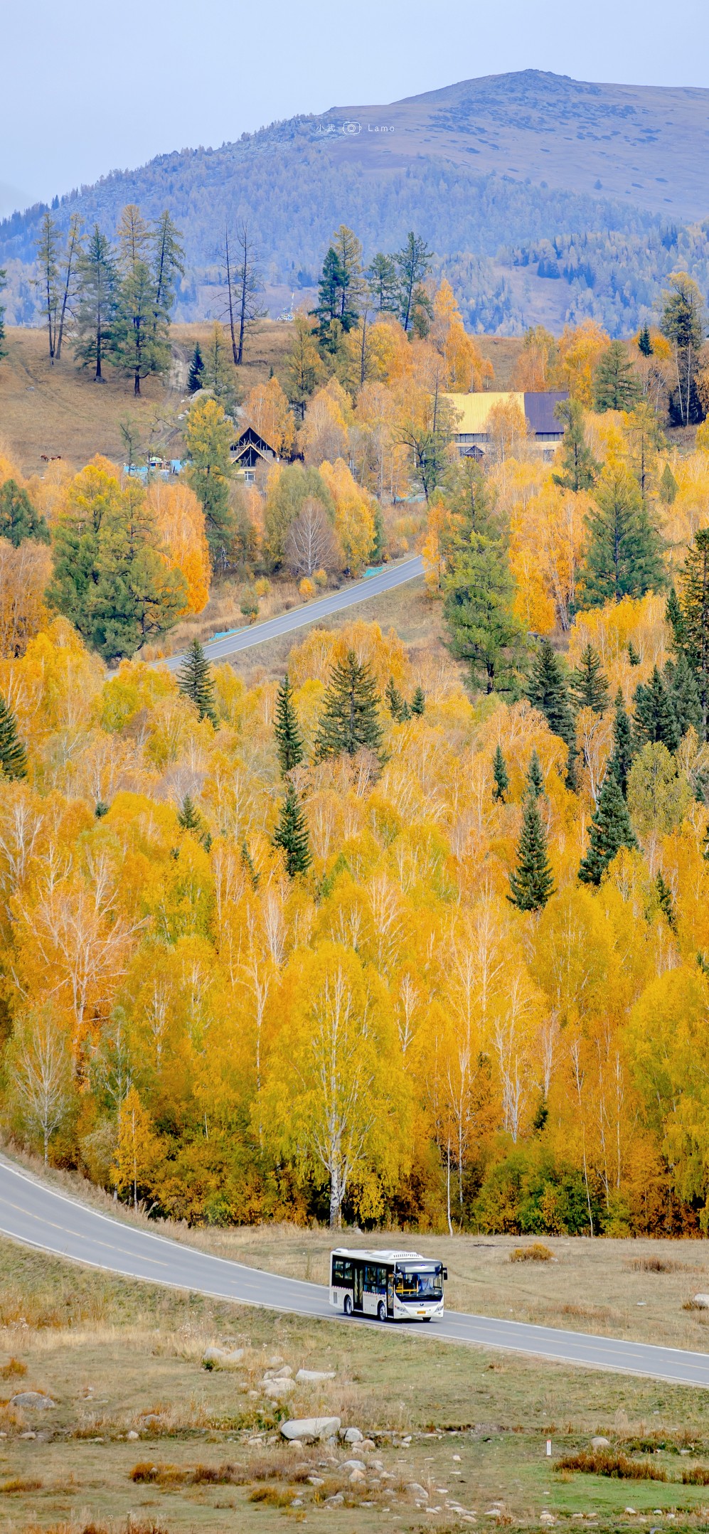 愿与山海共秋色，不与日月争短长。
风里已经有了秋的味道～
摄影：小武拉莫