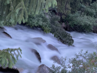 风景