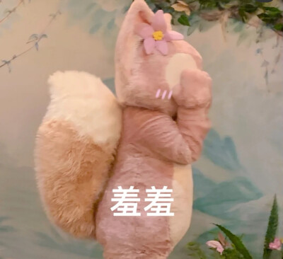 表情包