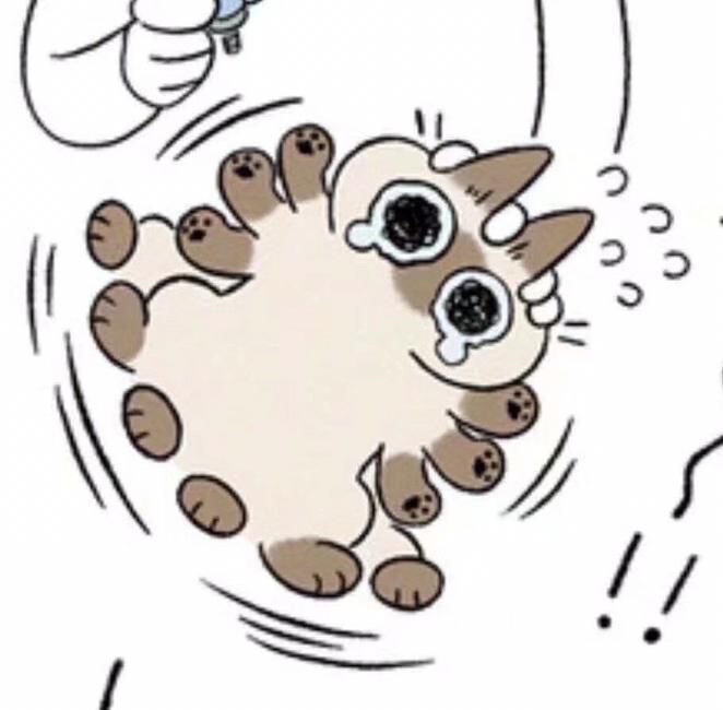 小豆泥
