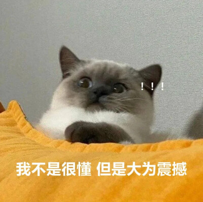 表情包