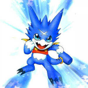 数码宝贝6  合体战争