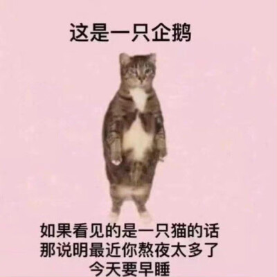 表情包