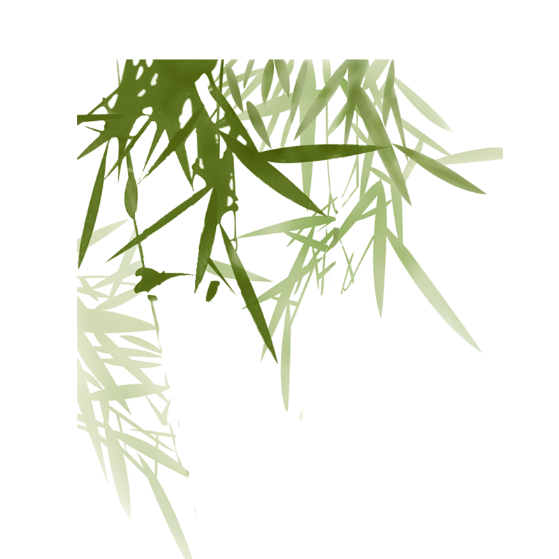 免抠竹子素材PNG - 高清图片，堆糖，美图壁纸兴趣社区