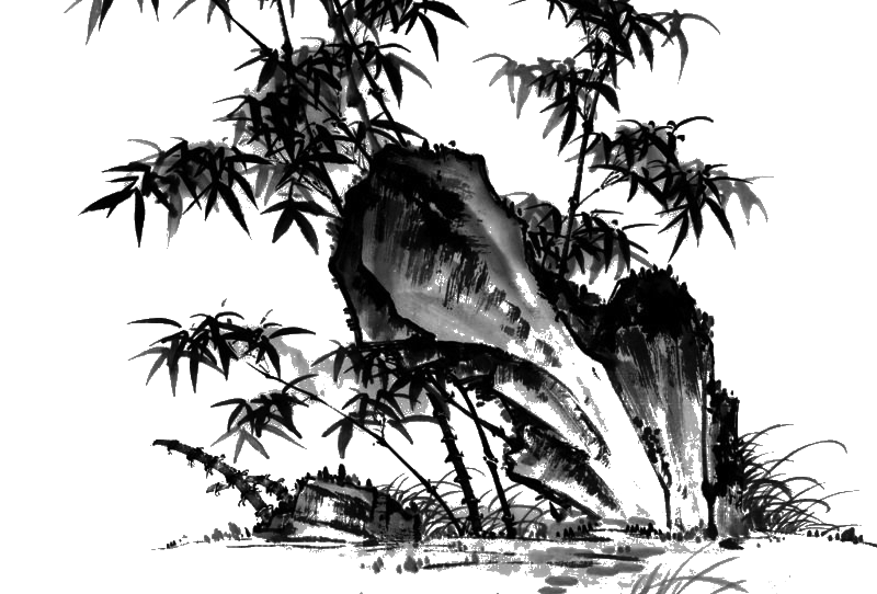 免抠竹子素材PNG