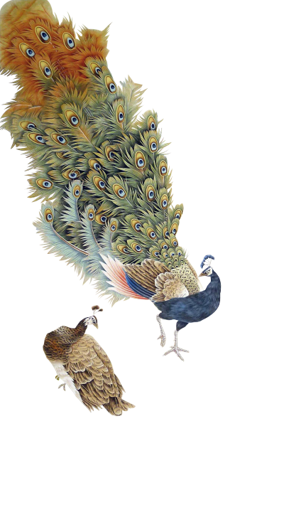 古风中式动物免抠素材PNG