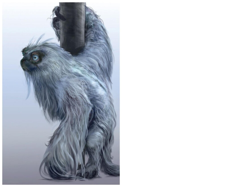 神奇动物在哪里 隐形兽~原型"日本猕猴"受到威胁时会隐身