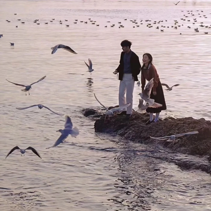 球球别再掉粉了你们别在取关了，由于学业的原因我不能长时间的上堆糖更图因为高中真的很忙高中生活如打仗一样，请谅解！这周末我会用小号查取关的你取大号我小号取你。