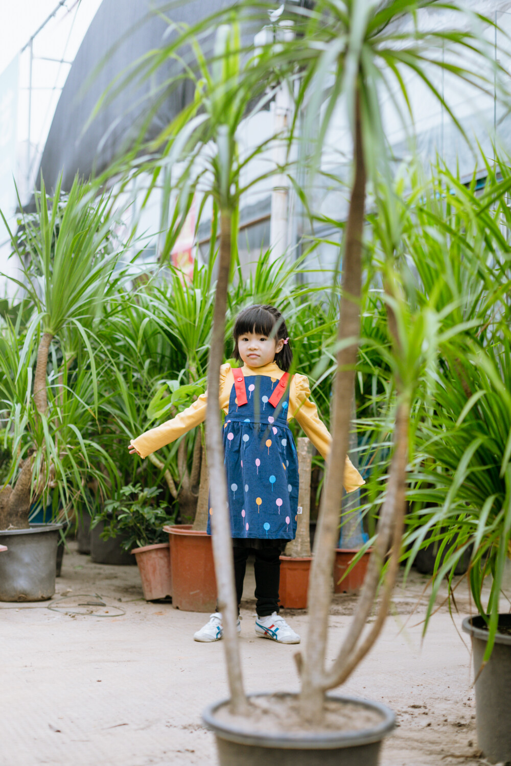 熙熙的四月
摄影：洪小漩
出镜：熙熙
每年都会给熙熙记录一小下，见证她越来越像妈妈的过程。
从她满月开始，到如今她已经四五岁，并且报了阅读班、舞蹈班、英语班……
还记得她小时候吐奶把我吓得够呛，到如今已然有小大人的模样，清晰表达自己的需求和态度。看到熙熙，让我有些期待，也幻想菲比长大会是什么样子。
觉得时间好快，当初和婷婷认识尚且各自单身，做了两年室友，眼见她恋爱、搬家、怀孕、生娃，再到如今我们皆为人母。我感觉自己好幸运，有过那么棒的室友。