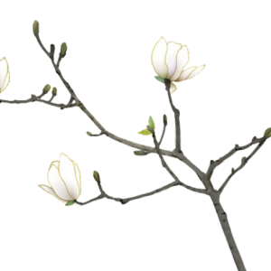 古风中式花卉免抠素材png