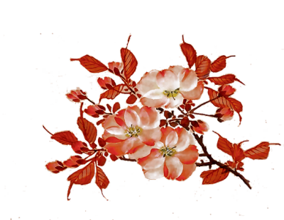 古风中式花卉免抠素材png