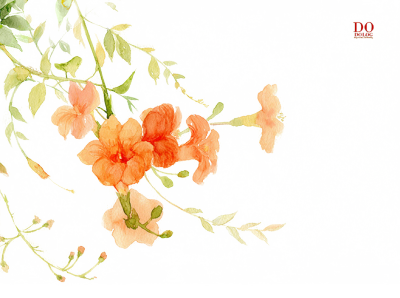 古风中式花卉免抠素材PNG