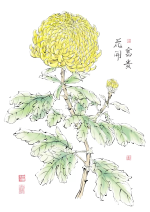 古风中式花卉免抠素材PNG