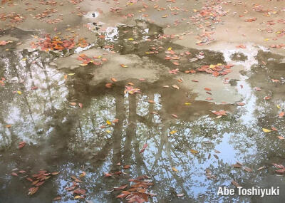 日本的水彩画家--Abe Toshiyuki阿部俊之