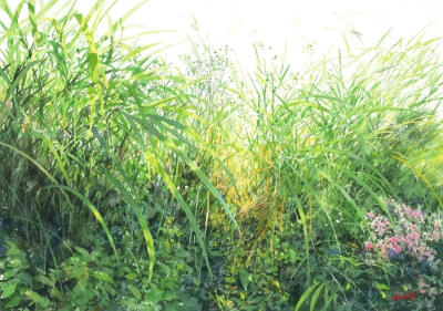 日本的水彩画家--Abe Toshiyuki阿部俊之