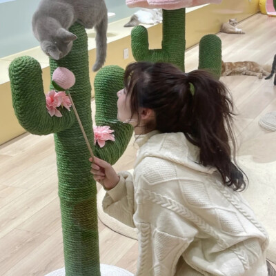 抱猫~