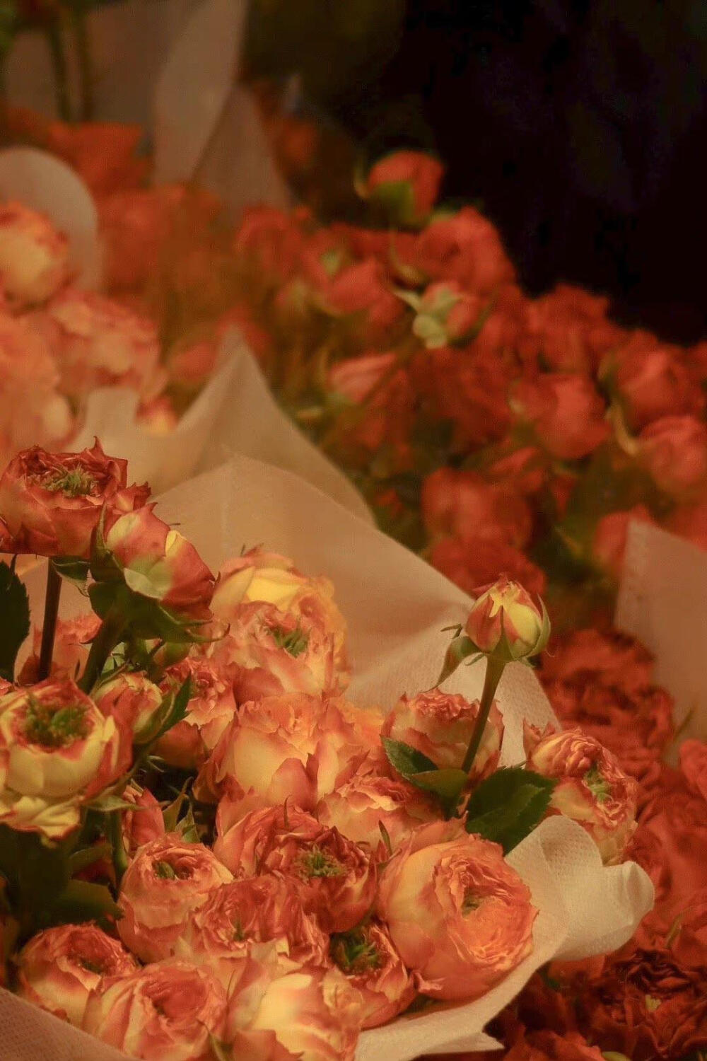 希望这一生平安遂顺。心如山海豁达，万事不必强求，行至水穷，坐看云起，风来听风，雨落观雨。