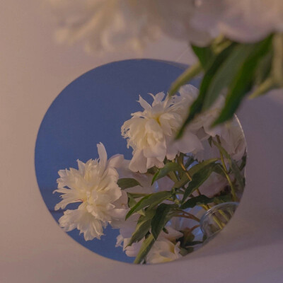 日常暖色调背景图