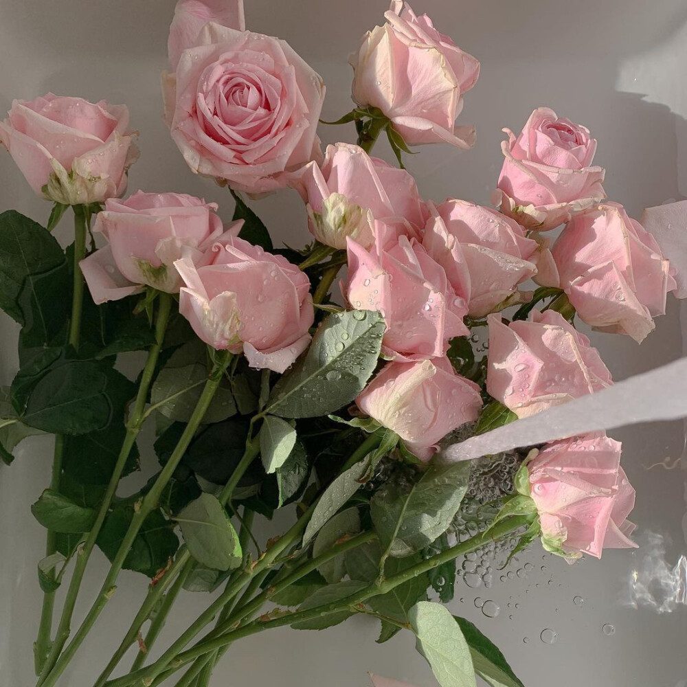 日常暖色调背景图