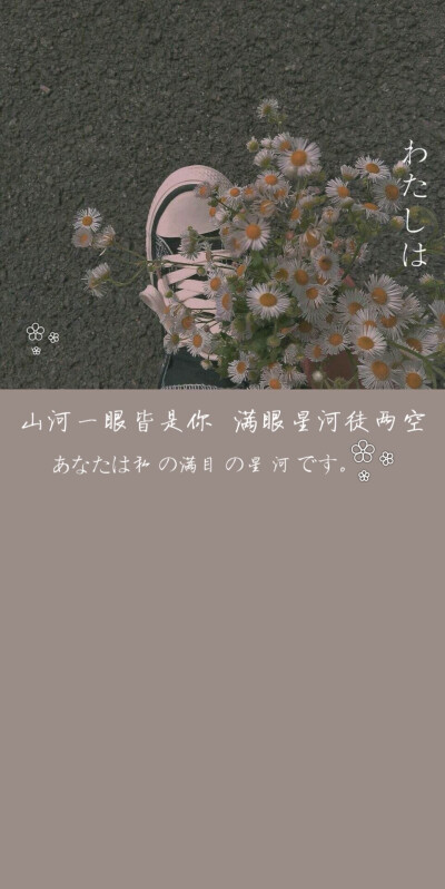 壁纸