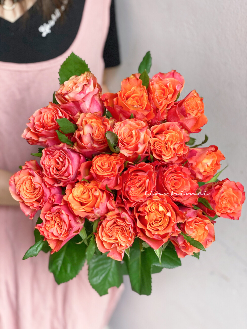 天气变冷、玫瑰的花期变长。