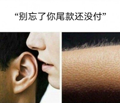 表情包 | 今天你付尾款了吗？