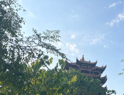 风景照