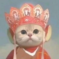 猫咪