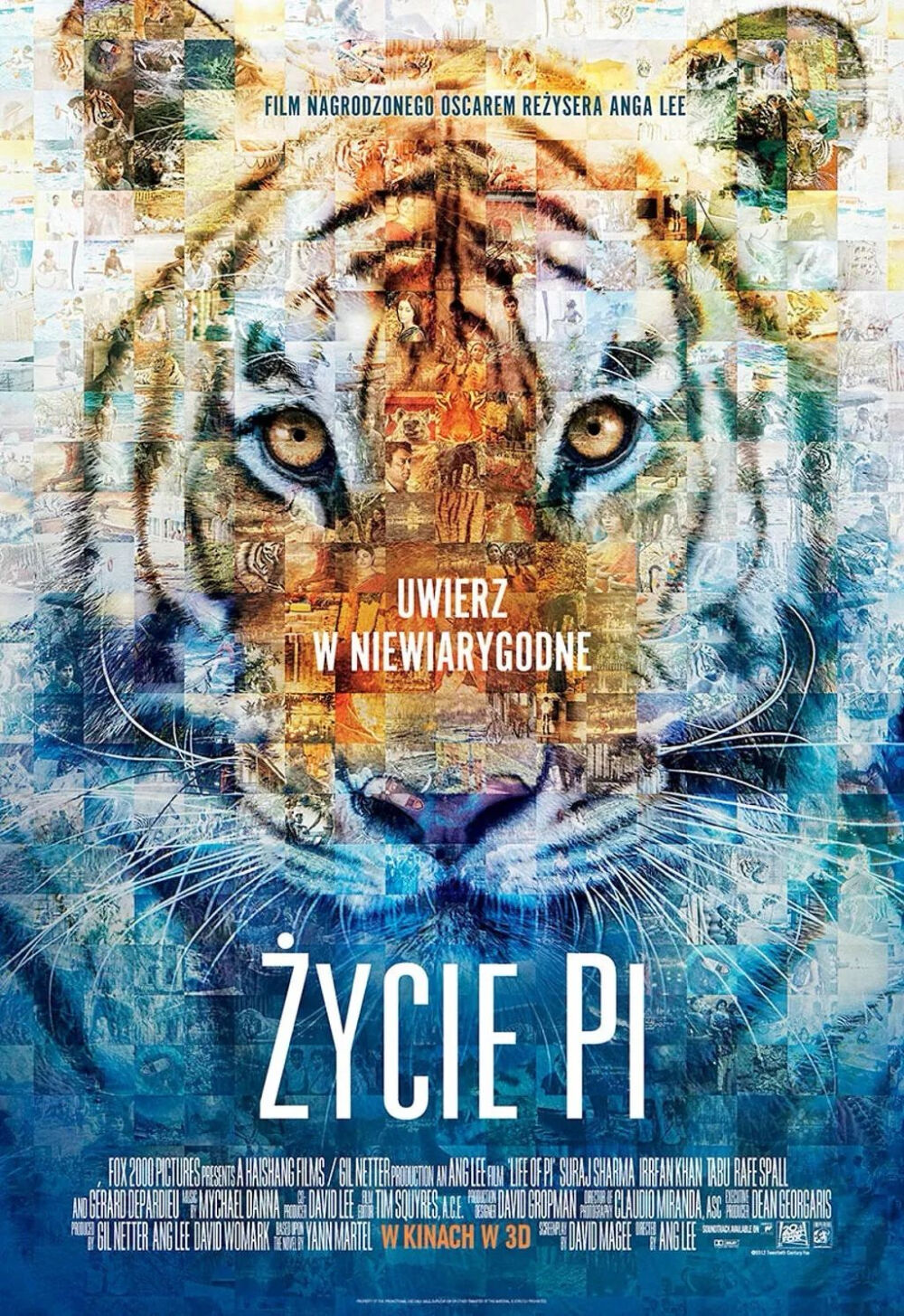 少年派的奇幻漂流Life of Pi
