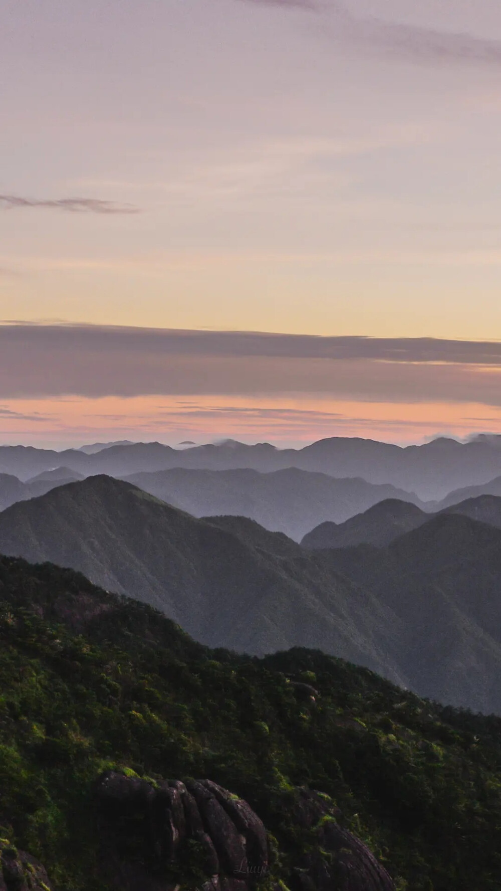 手机壁纸 网音乐背景