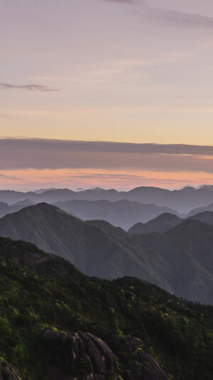 手机壁纸 网音乐背景