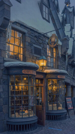 哈利波特魔法世界
猫头鹰商店
环球影城壁纸