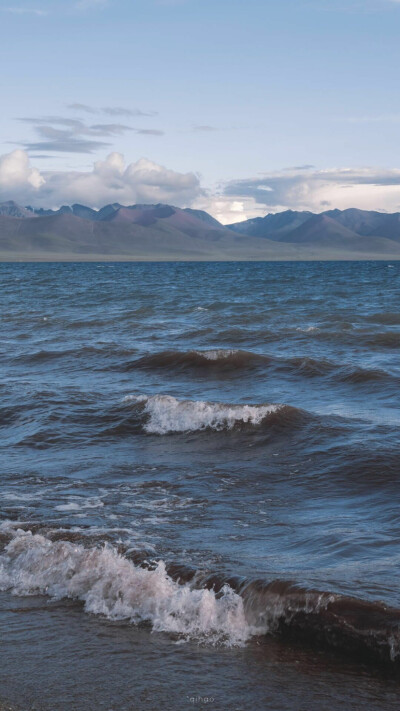 “海与浪，温与柔，爱与不爱皆自由”