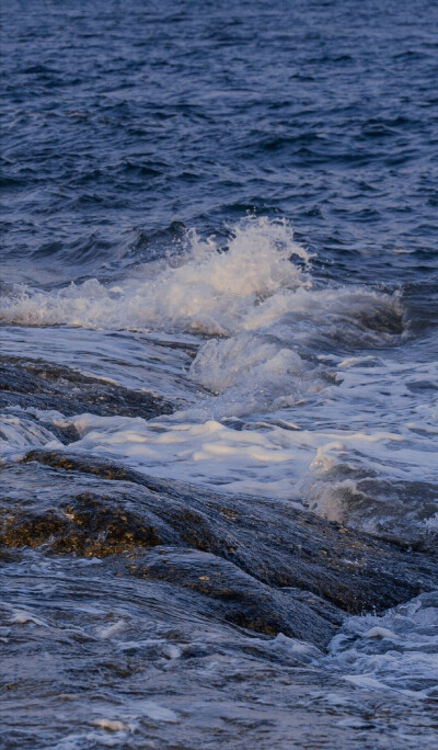 “海与浪，温与柔，爱与不爱皆自由”