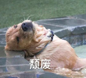 不知道修什么了
评论区带图提名 下周回来修 拜拜！